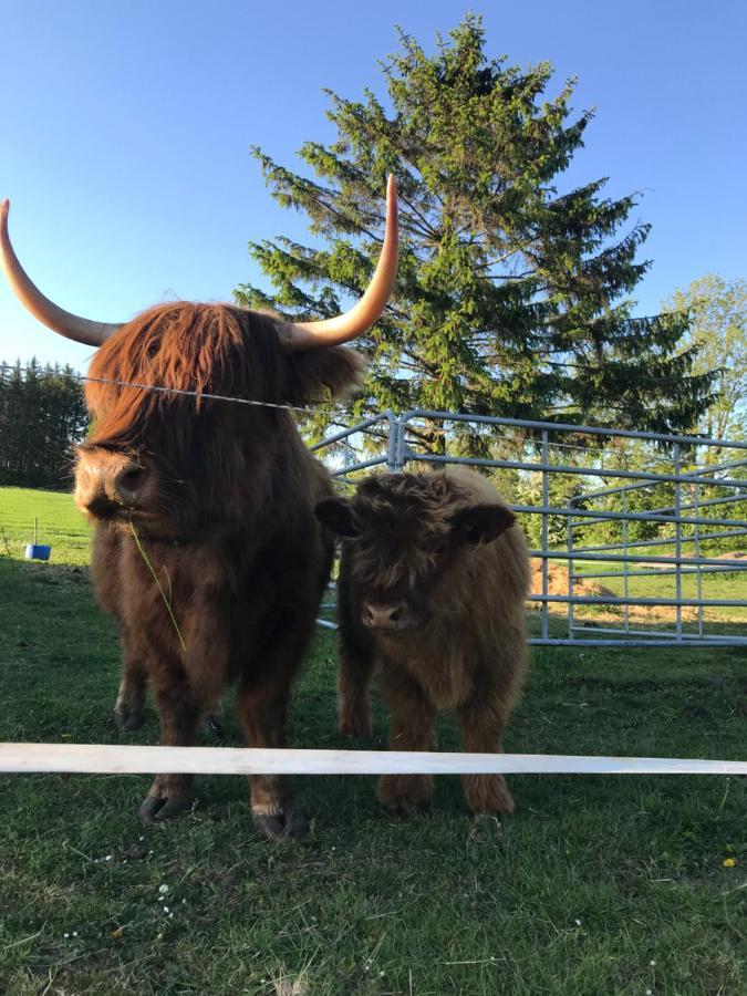 Bremsmaj Farm Holiday Kvaers Luaran gambar