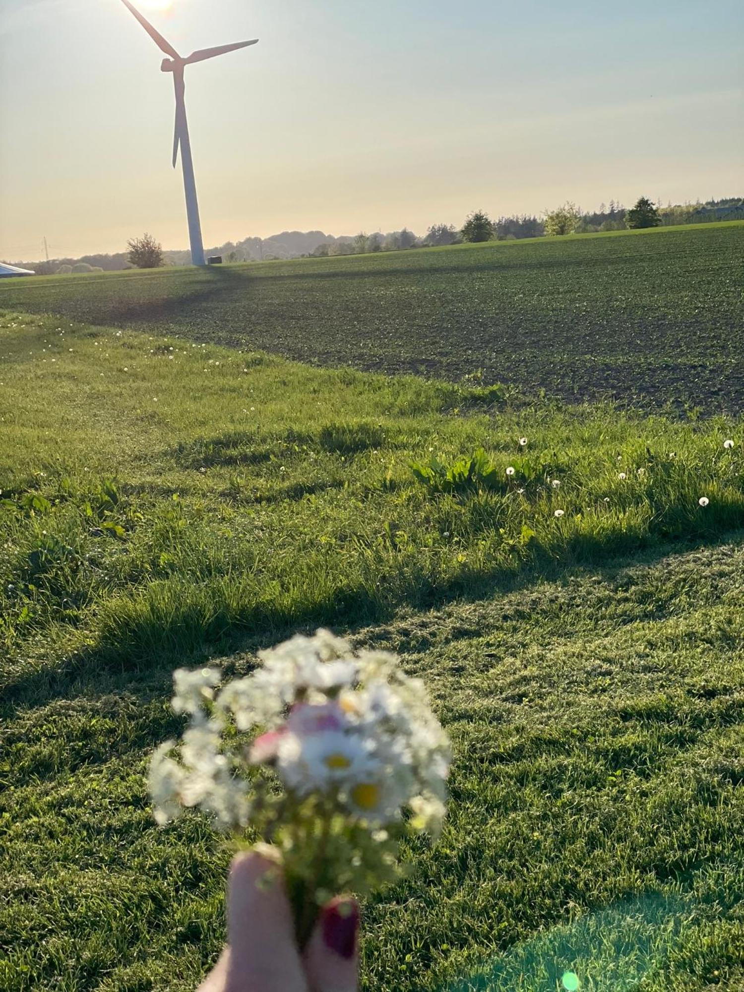Bremsmaj Farm Holiday Kvaers Luaran gambar